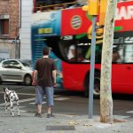 Hombre con perro dalmata en la calle