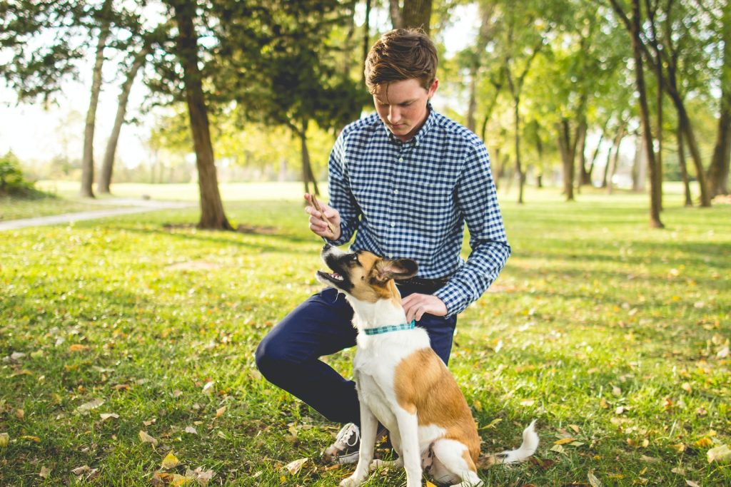 Hombre con perro marron y blanco en el parque