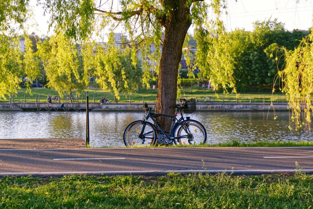 Bicicleta negra estacionada al lado de árboly lago